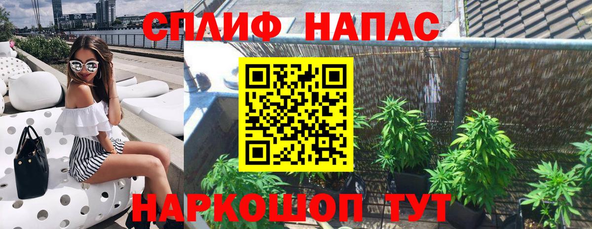 МАРИХУАНА Ganja Ачхой-Мартан